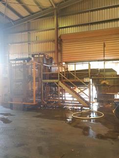 Sweet Potato - May 6th